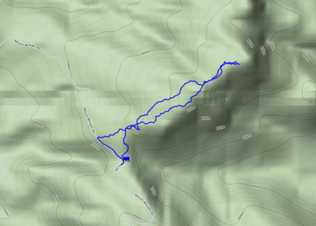 GPS tracklog from Mt William Rd to Red Man Bluff